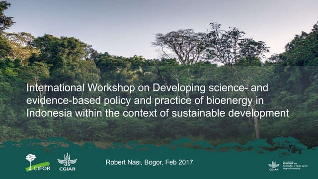 International Workshop on Developing science- and evidence-based policy and practice of bioenergy in Indonesia within the context of sustainable development