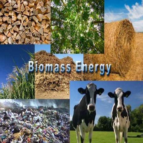 Bio energy uses in pakistan