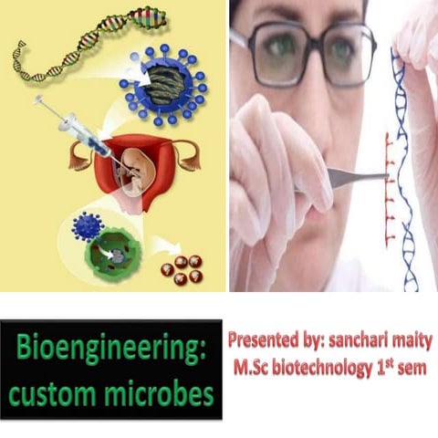Bioengineering custom microbes, genetic engineering,bioremediation,bioprocess...
