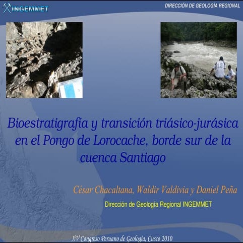 BIOESTRATIGRAFÍA Y TRANSICIÓN TRIÁSICO-JURÁSICA EN EL PONGO DE LOROCACHE, BOR...