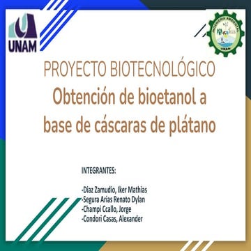 BIOetanol.pdf