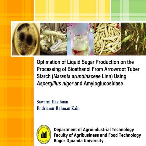 Bioethanol from indonesia's arrowroot tuber