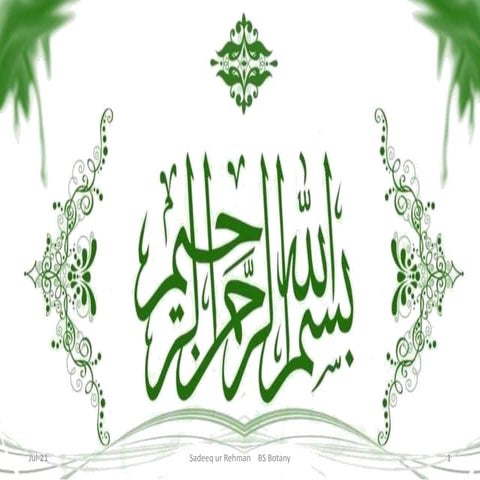 Bioethics presentation