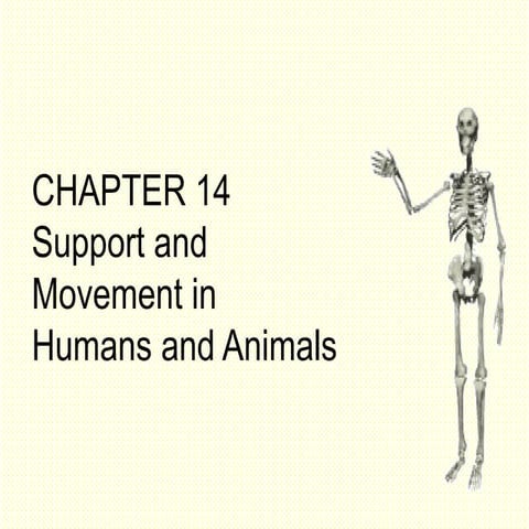 BIO F5 C2 1 SUPPORT AND MOVEMENT IN HUMANS.ppt