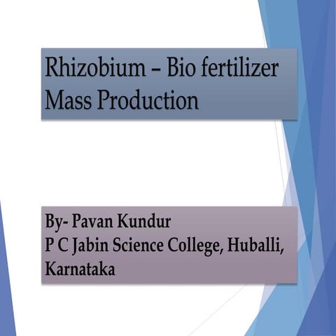 Rhizobium Biofertilizer Mass Production