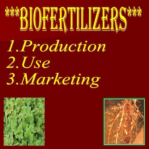 Biofertilizers