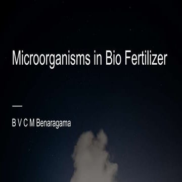 Microorganisms used in biofertilizers
