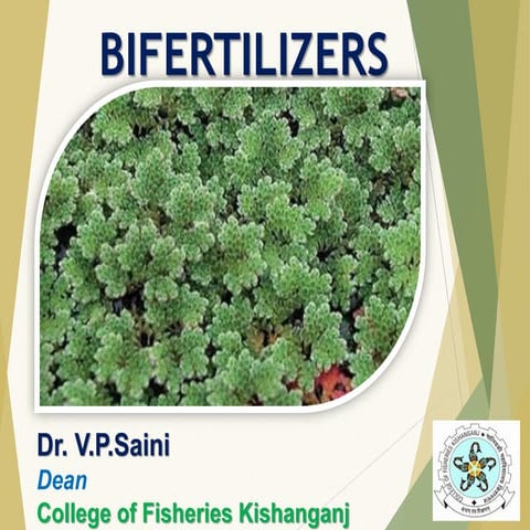 BIOFERTILIZERS (AZOLLA FARMING)