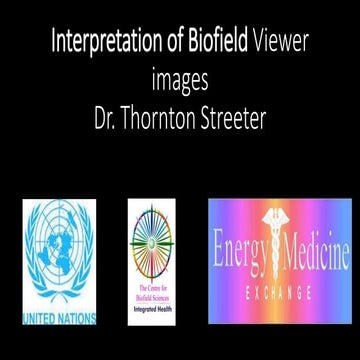 Biofield Viewer Advanced Interpretation 2018/9