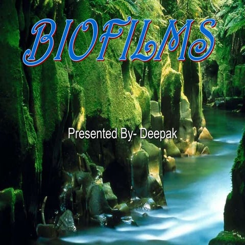 BioFilms