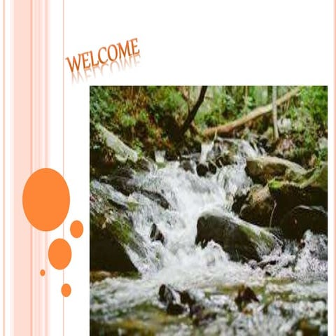 Biofilm in food industries 1