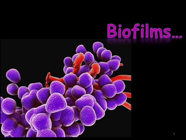Biofilms 
