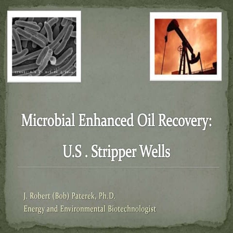 Biofilms of extremophils for microbial enhanced oil recovery3