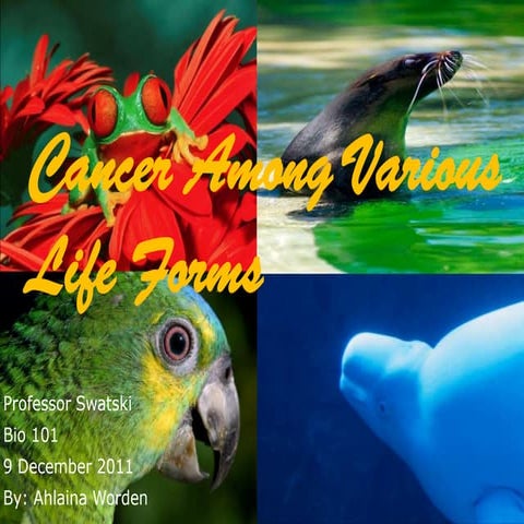 Cancer in Various Animals