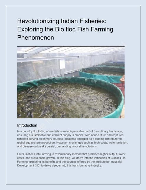 Biofloc Fish Tank System - PVC Fish Farming Tank. | PPT