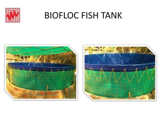 Biofloc Fish Tank System - PVC Fish Farming Tank. | PPT
