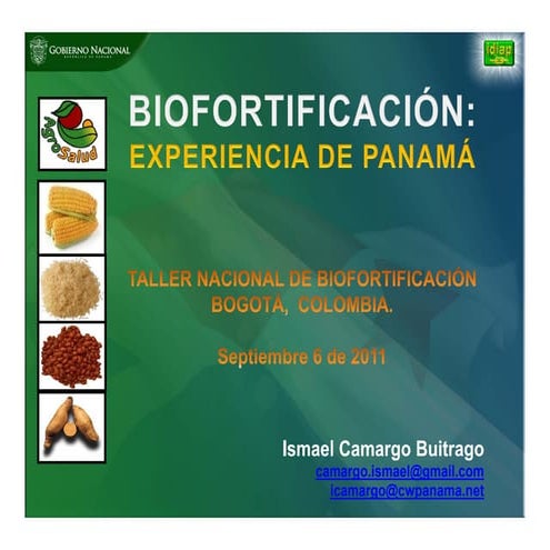 Biofortificación: Experiencia de Panamá