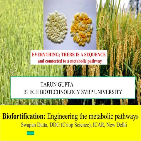 Biofortification PPT