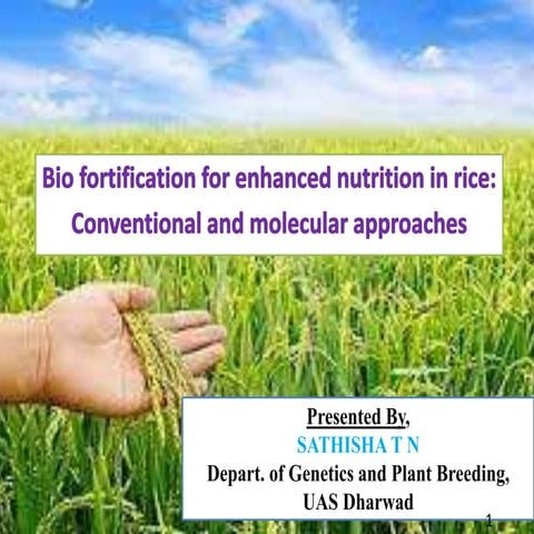 Bio fortification for Enhanced Nutrition in Rice by Conventional and Molecula...