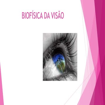 Biofísica da visão