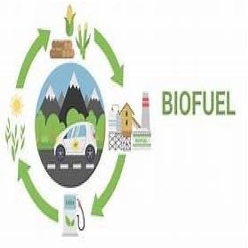 Comprehensive Overview of Biofuels: Types, Benefits, and Applications ...