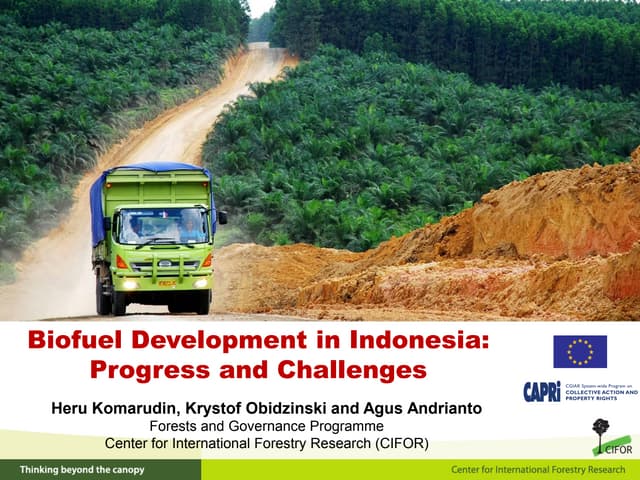Biofuel development in Indonesia: progress and challenges
