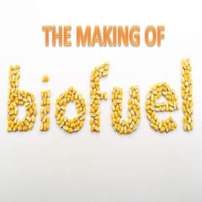 Biofuel process
