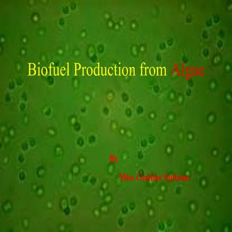 Biofuel production from algae