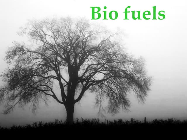 Biofuels