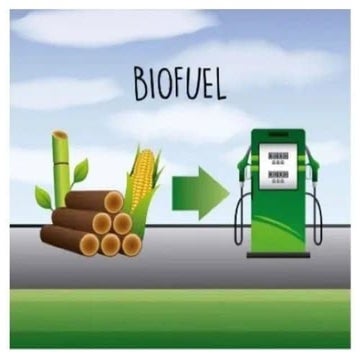 Biofuels............................ .ppt