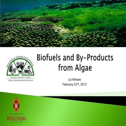 Biofuels and By-Products from Algae