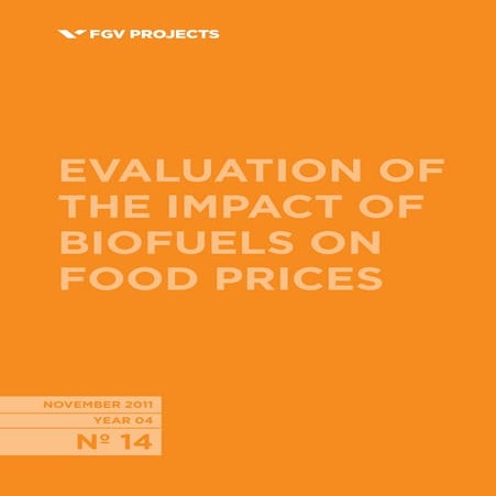 Evaluation of the Impact of Biofuels on Food Prices