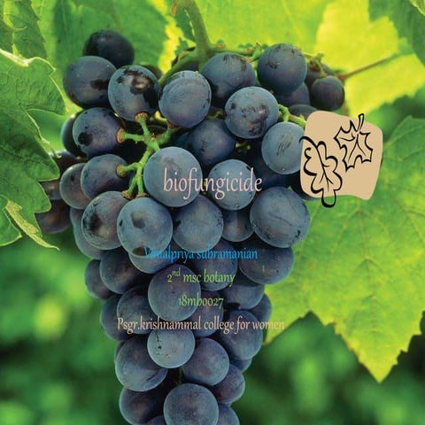 Biofungicide by vimalpriyasubramanian