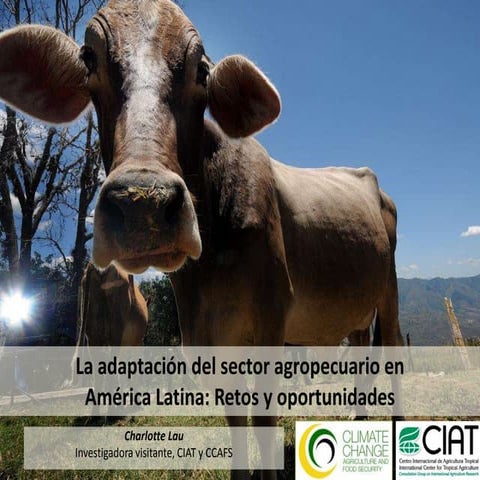 Adaptación del sector agropecuario en América Latina: Retos y oportunidades p...