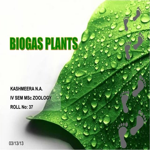 Biogas