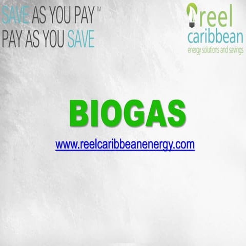 Biogas