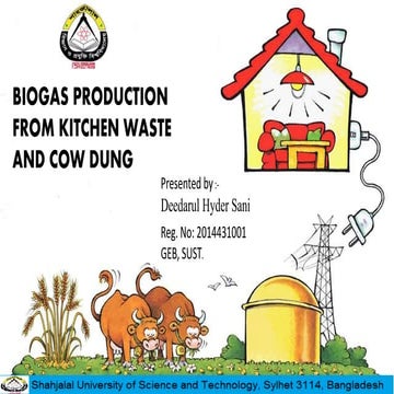 Biogas 