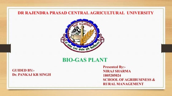 Biogas plant project | PDF