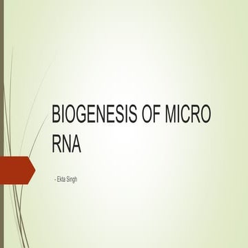 Biogenesis of mi RNA