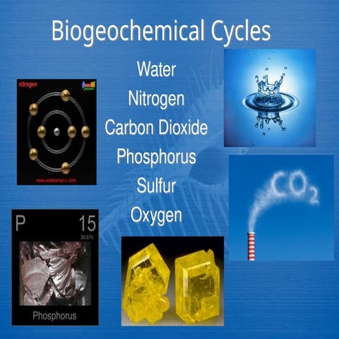 Powerpoint presentation in teaching biogeochemical cycle