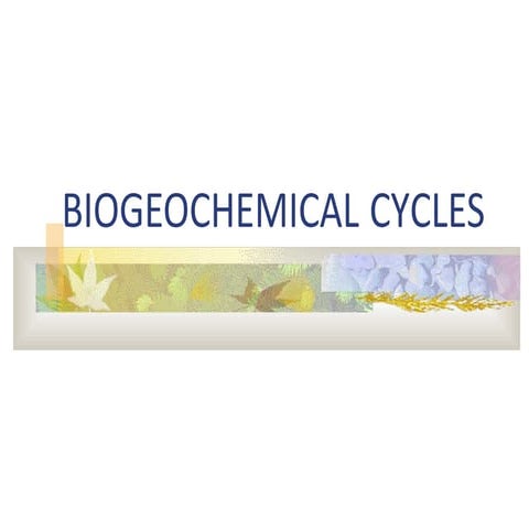 Biogeochemical Cycles