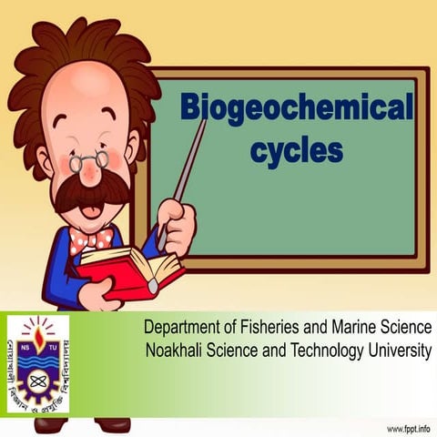 Biogeochemical cycle 