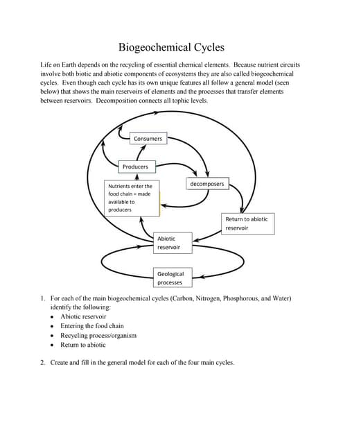 Printables Biogeochemical Cycles Worksheet biogeochemical cycles