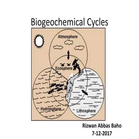 Biogeochemical cycles