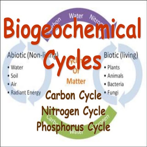 NUTRIENT CYCLING (biogeochemical_cycles).ppt