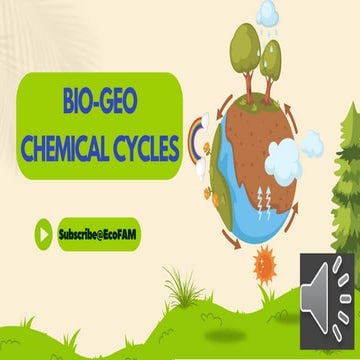 Biogeochemical Cycles (carbon, nitrogen and phosphorus)