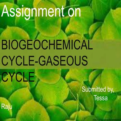 BIOGEOCHEMICAL CYCLE of carbon and nitrogen JK | PPTX