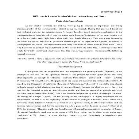 Difference in Pigment Levels of the Leaves from Sunny and Shady