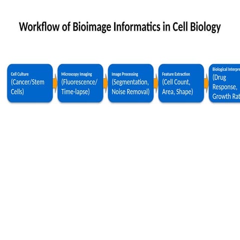Comprehensive Workflow of Bioimage Informatics in Cell Biology Research ...