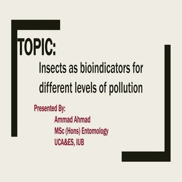 Insects As Bioindictors for Different Levels of Pollution